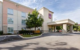 Comfort Suites Medical Center Near Six Flags